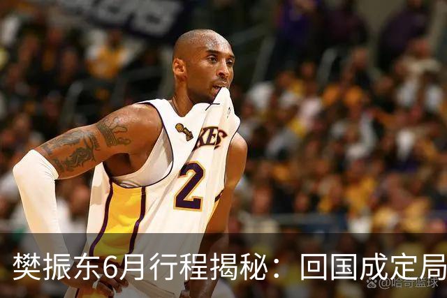 樊振东6月行程揭秘：回国成定局，他会与王励勤展开重要会谈吗？